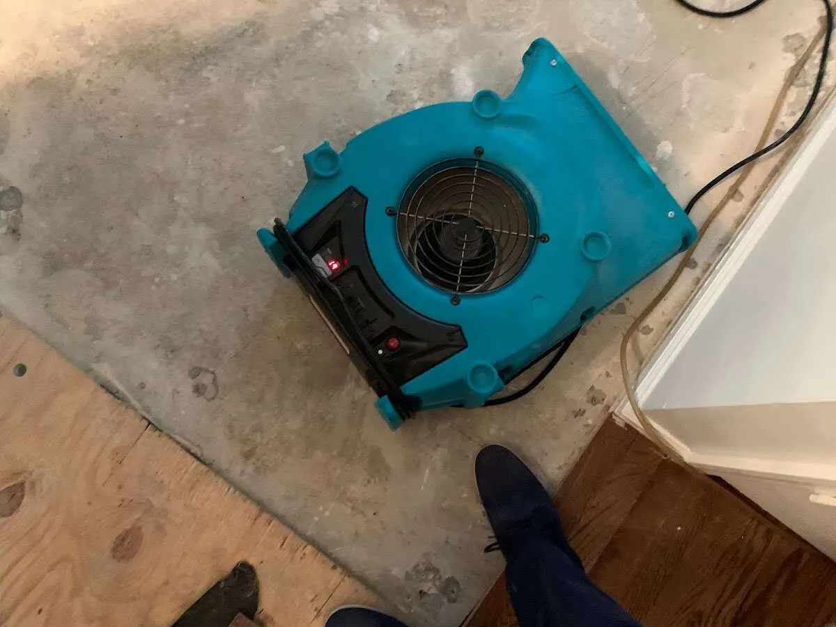 Air mover drying subfloor during Commercial Water Damage Restoration in Golden